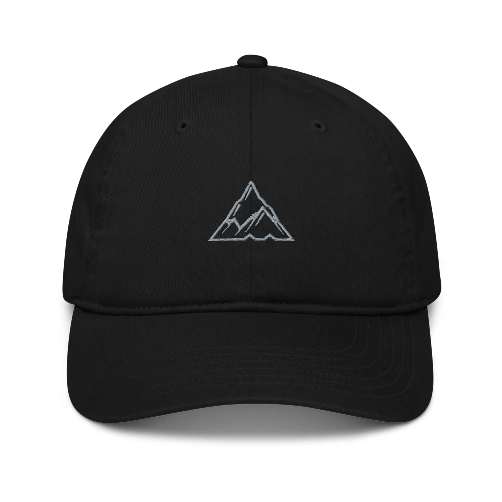 MOMENTUM Organic Dad Hat product image (1)