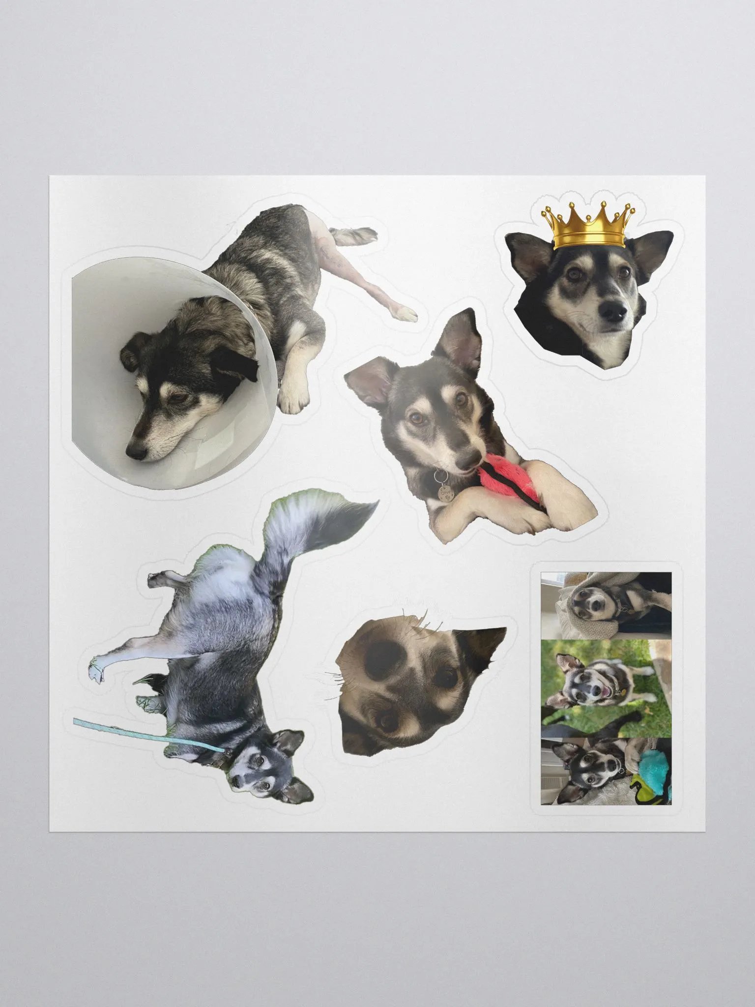 An Olive For Every Occasion Sticker Pack product image (1)