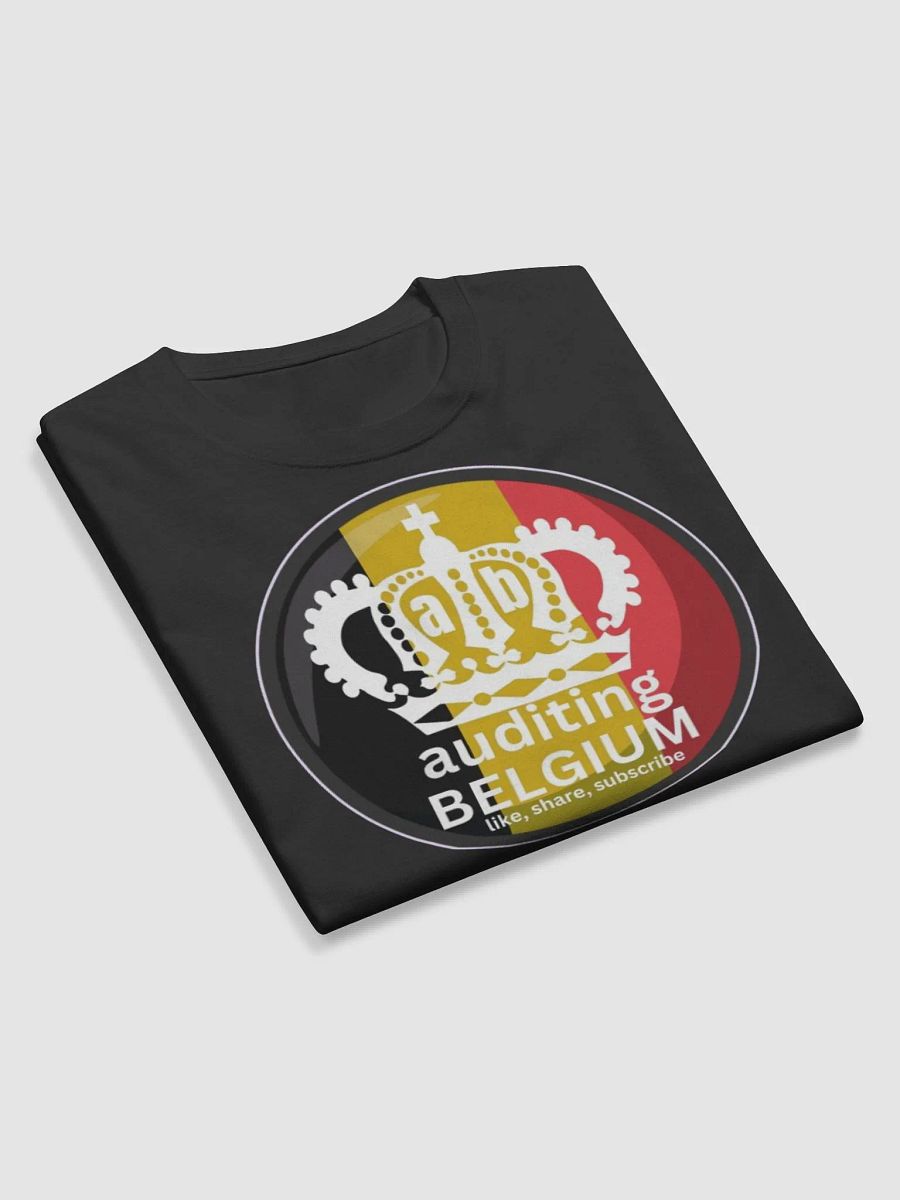 AUDITING BELGIUM product image (10)