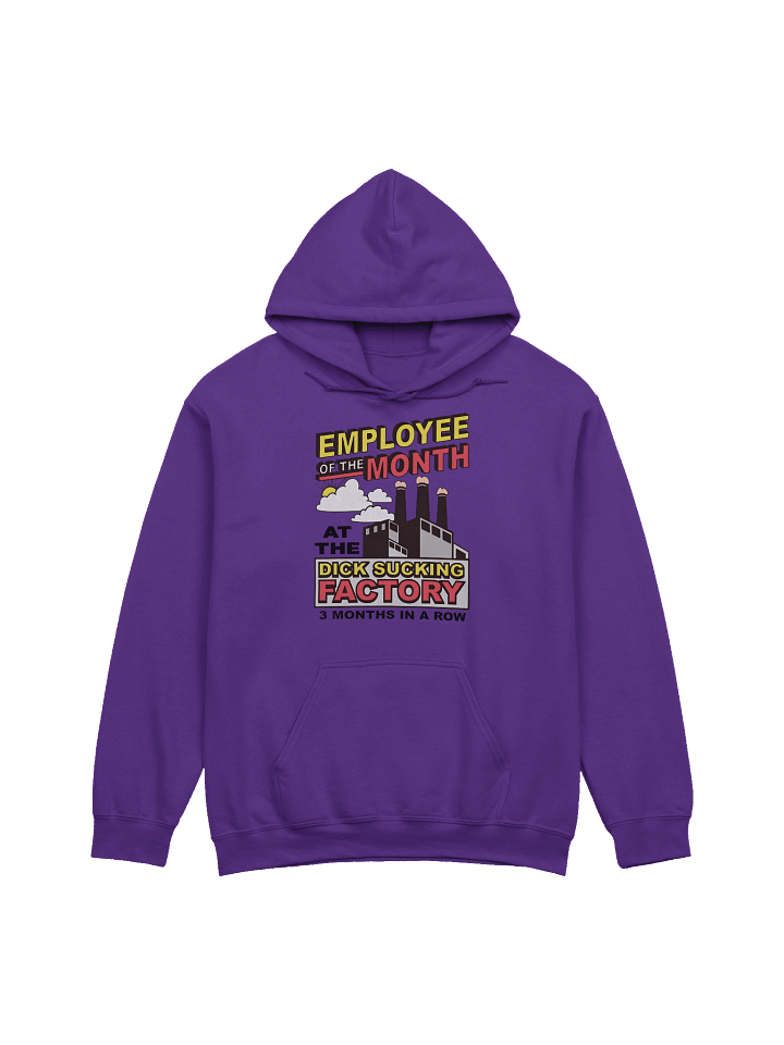 Employee Of The Month At The Dick Sucking Factory Hoodie product image (1)