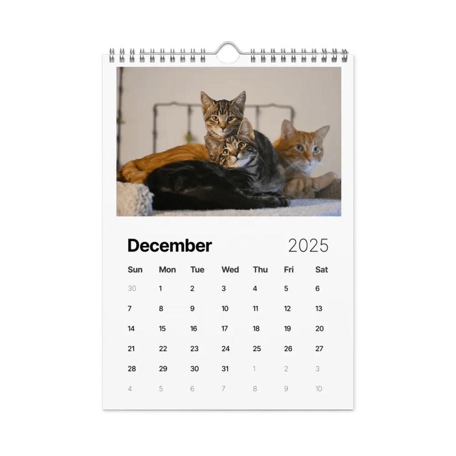 Noah and Friends 2025 Calendar product image (4)