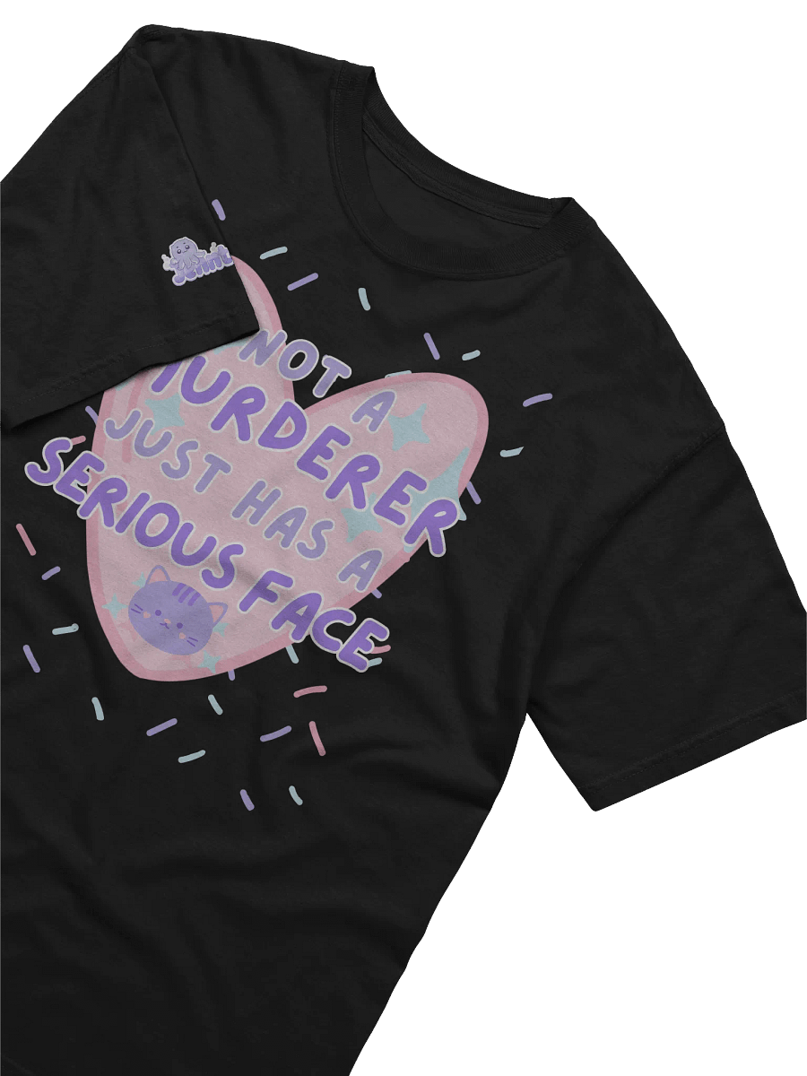 NOT A MURDERER T-SHIRT product image (3)