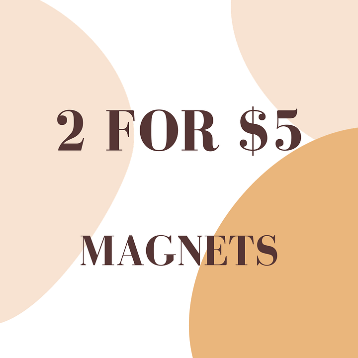 2 Mystery Magnets product image (1)