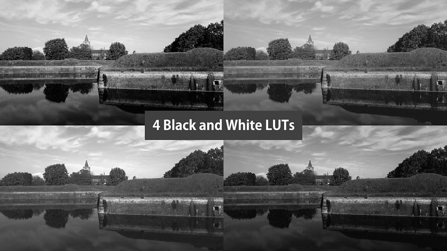 4 Zwart/Wit LUT's product image (2)