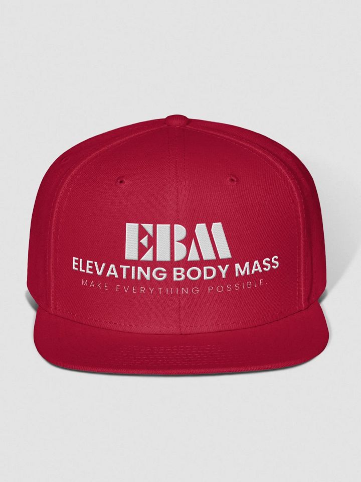 EBM Snap Back Cap (White Logo) product image (1)