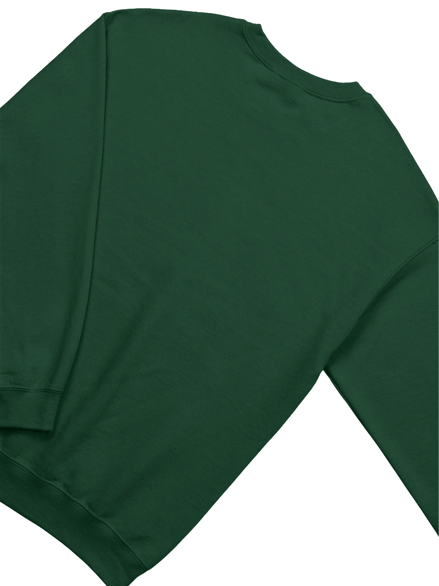 Koi Fish Circle of Persistence Sweatshirt product image (8)