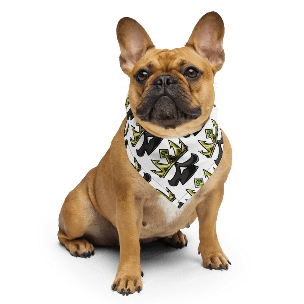 skull bandanna product image (6)