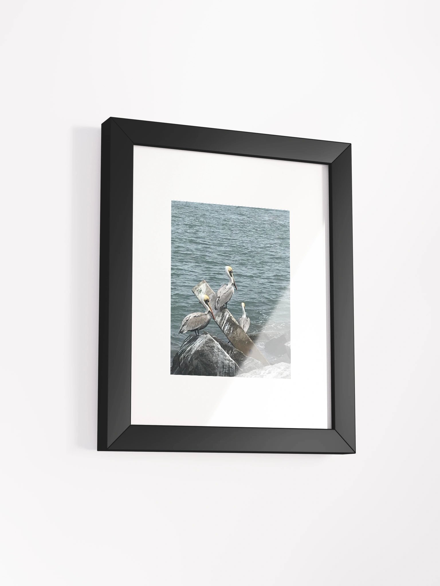 Coastal Avian Symphony Framed Poster product image (15)