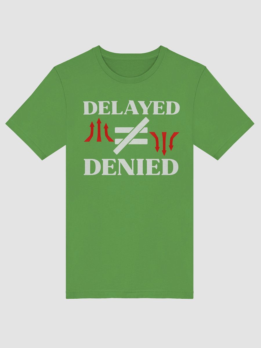 Delayed Not Denied Bella Canvas T-shirt product image (4)