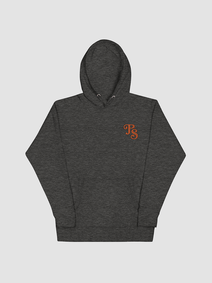 Popular Science Retro Logo Embroidered Hoodie product image (1)
