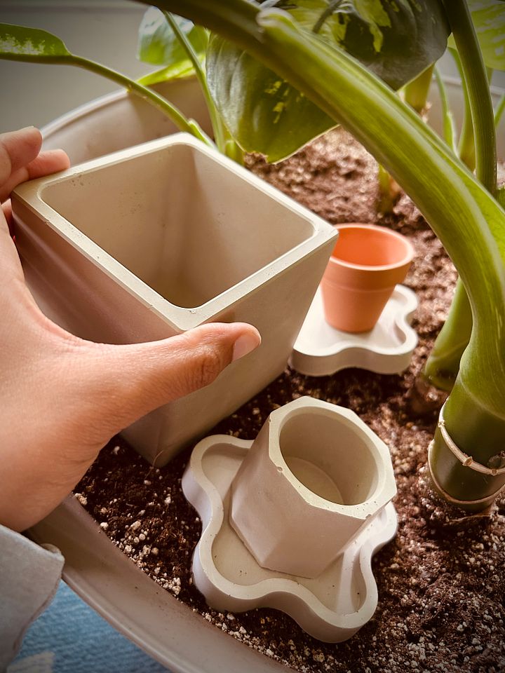 Blank cement and terracotta plant pots and trays product image (1)
