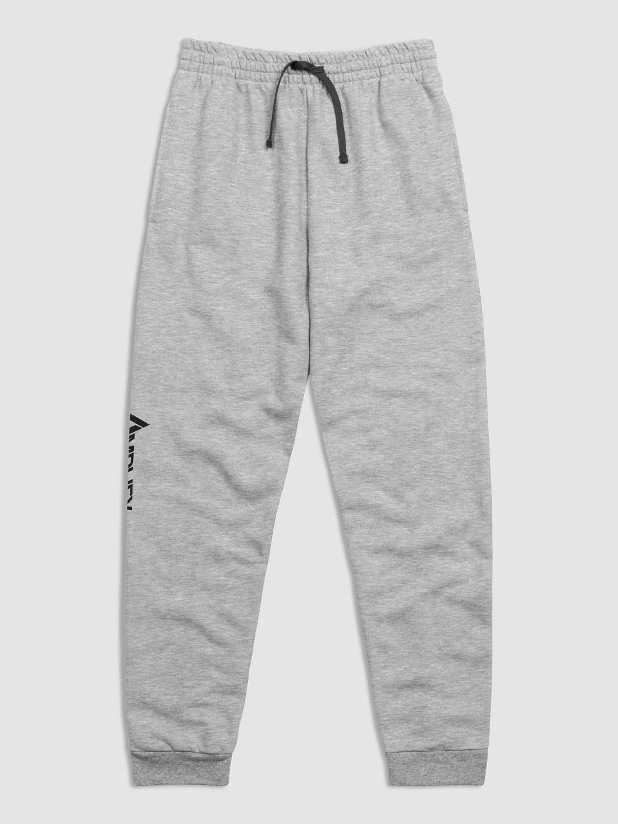 Amp Classics sweatpants (Gray) product image (6)