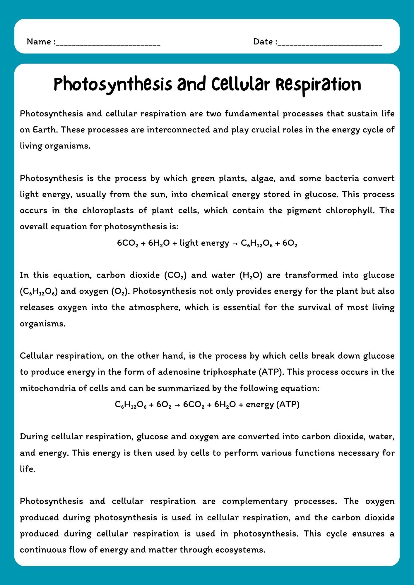 Photosynthesis and Cellular Respiration Reading Comprehension Passage with Questions product image (1)