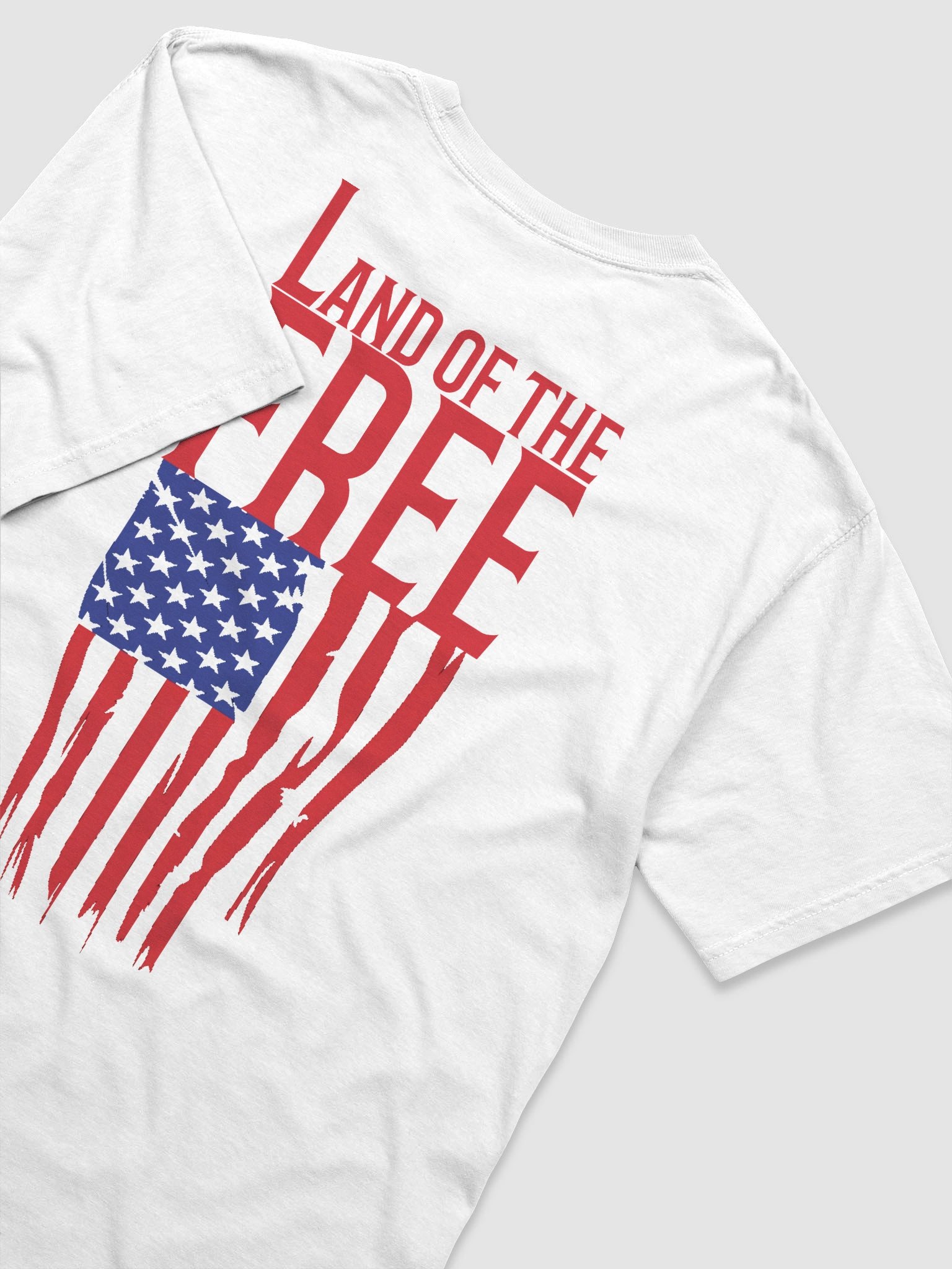 LAND OF THE FREE Salty Tee product image (3)