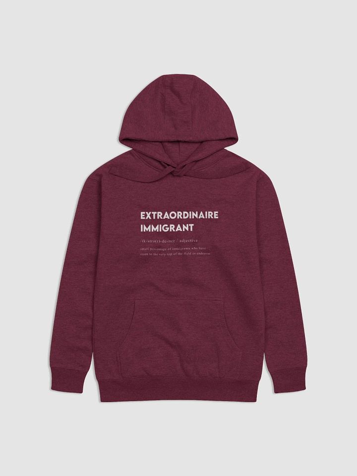 Extraordinaire Immigrant Hoodie – Celebrate Excellence product image (2)