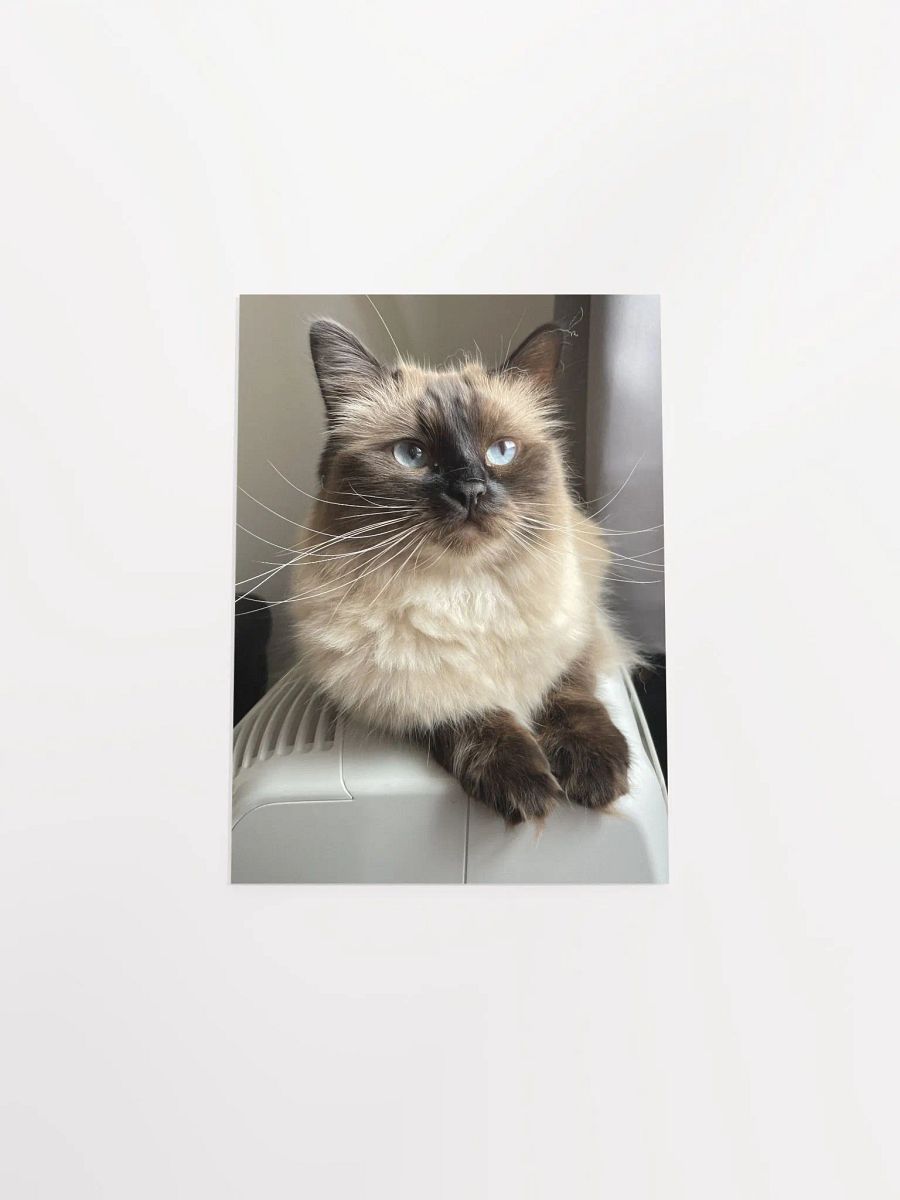 Lilith Poster product image (4)