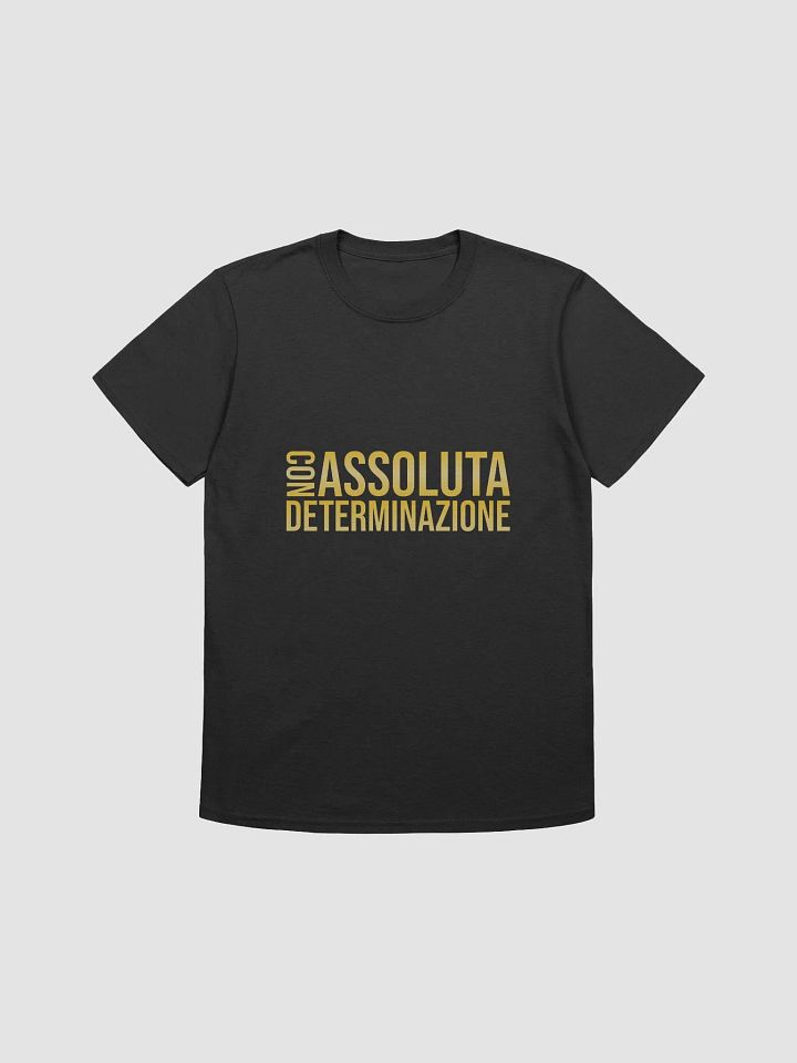 Con assoluta determinazione product image (1)
