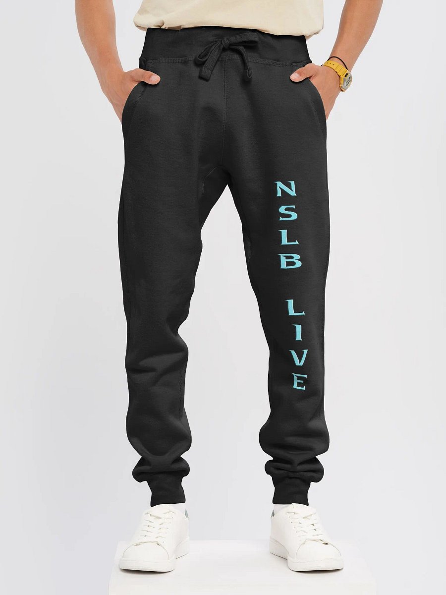 Revive Your Wardrobe with some NSLB Lane Seven Fleece Joggers product image (14)