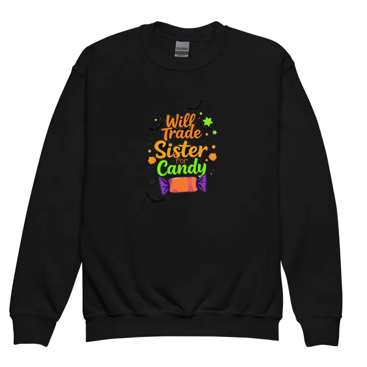 Will Trade Sister For Candy Youth Sweatshirt product image (2)