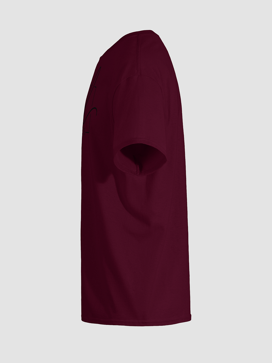Loved Unisex Tee product image (111)
