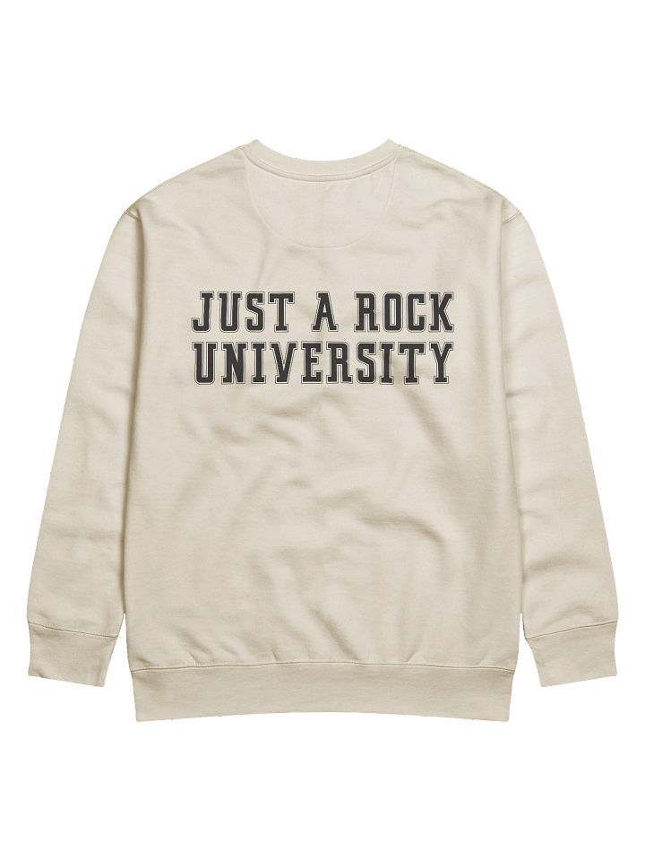 University Sweatshirt product image (2)