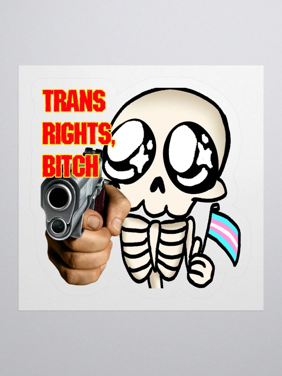 Trans Rights Sticker product image (1)