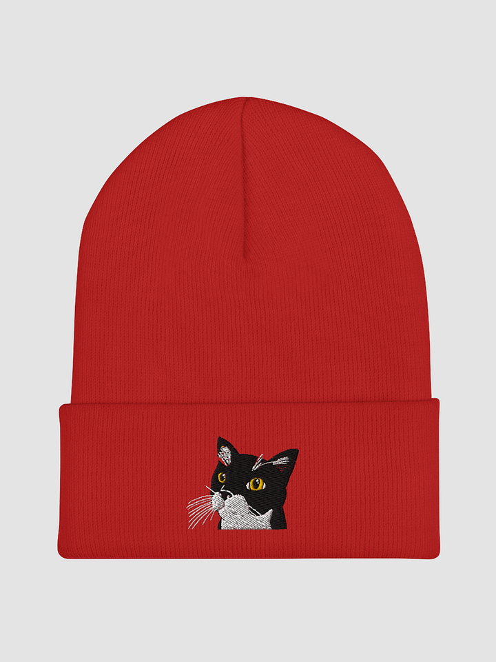 Handsome Felix Embroidered Beanie product image (1)