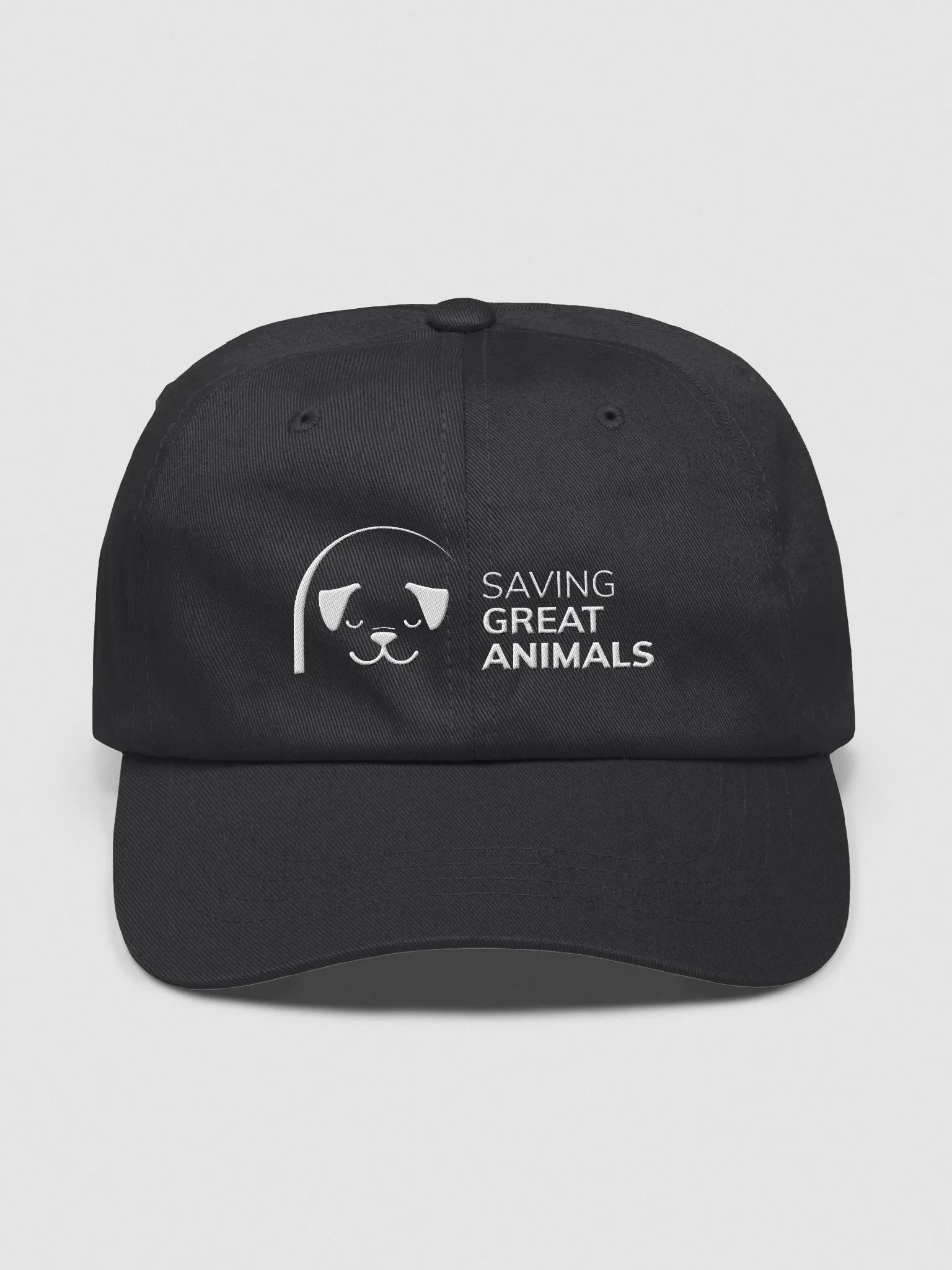 SGA Baseball Cap product image (1)