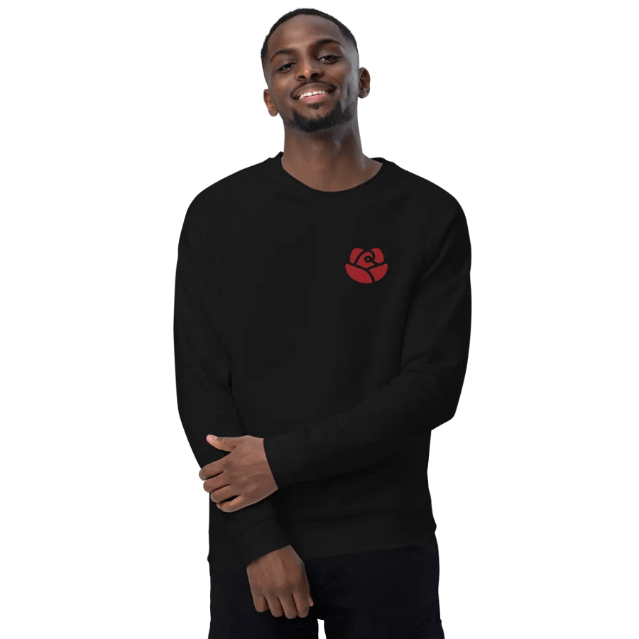 SOL'S Unisex Organic Raglan Sweatshirt product image (6)