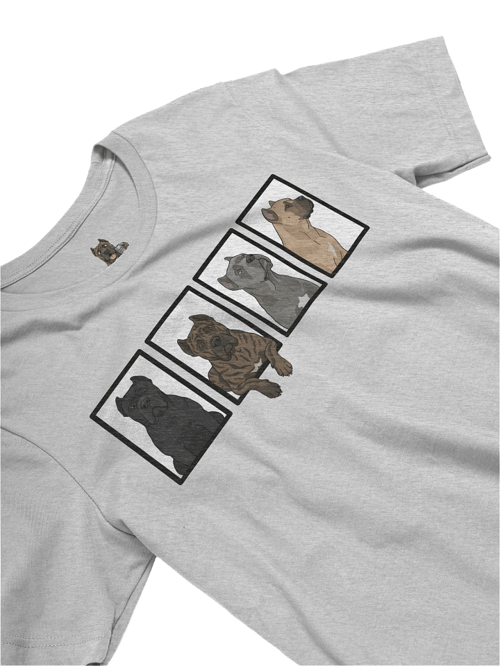 Cane Corso All Colors Pride T-Shirt – The Ultimate Pack product image (2)