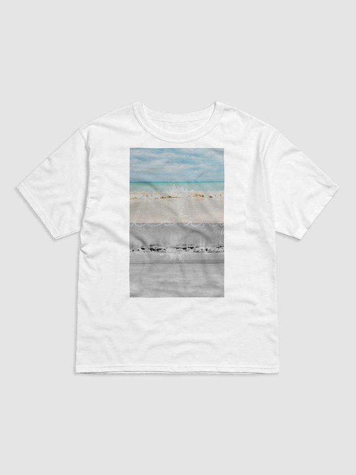 PHOTOREALISM -island- Champion T-Shirt product image (1)