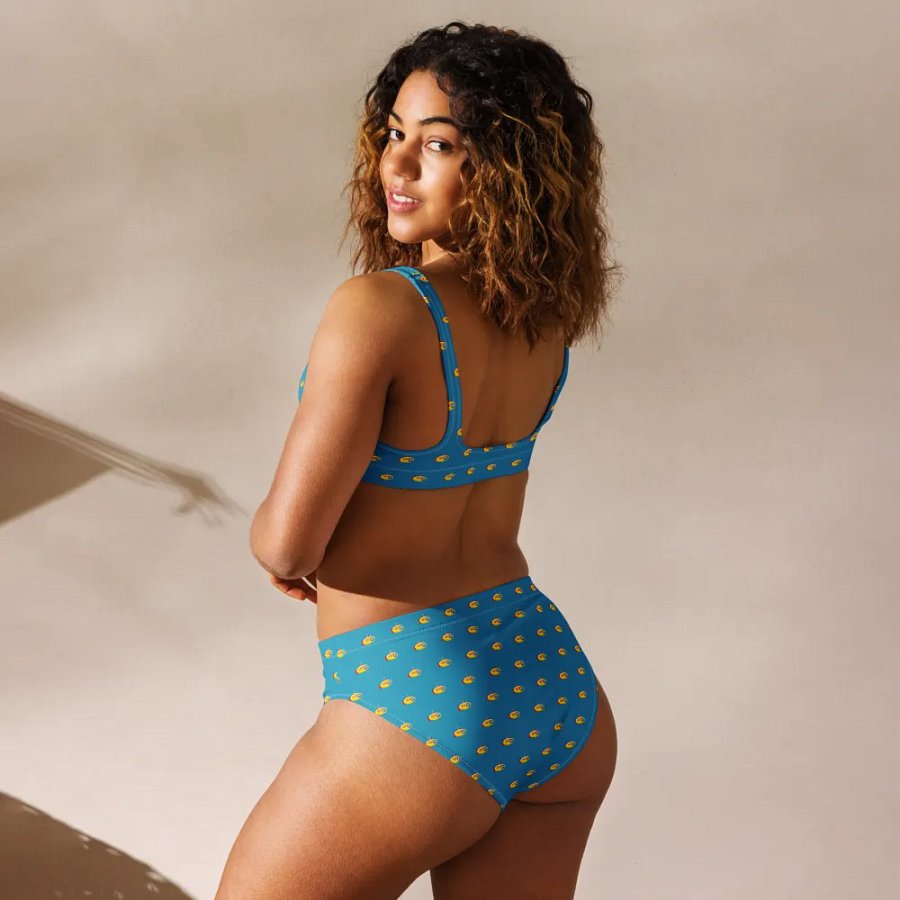 MSLA Sub Series - High Waisted Bikini product image (4)
