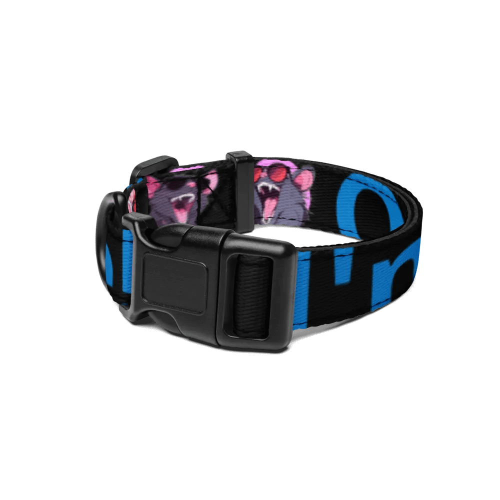 Neon Floral Assh*le Pet Collar product image (1)