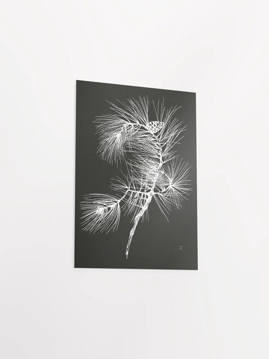 Whimsical Pine Branch Poster - Pine Branch Dark product image (3)
