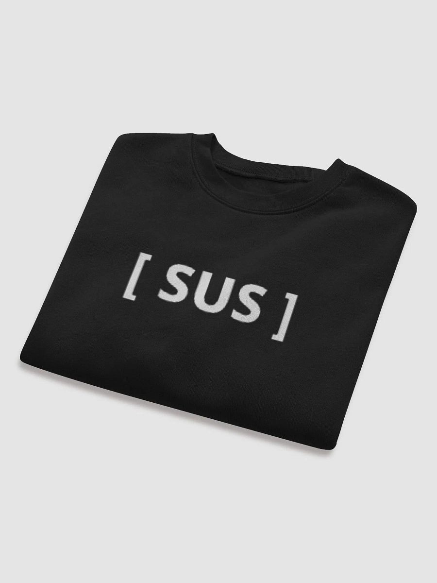 SUS CROP TOP product image (5)