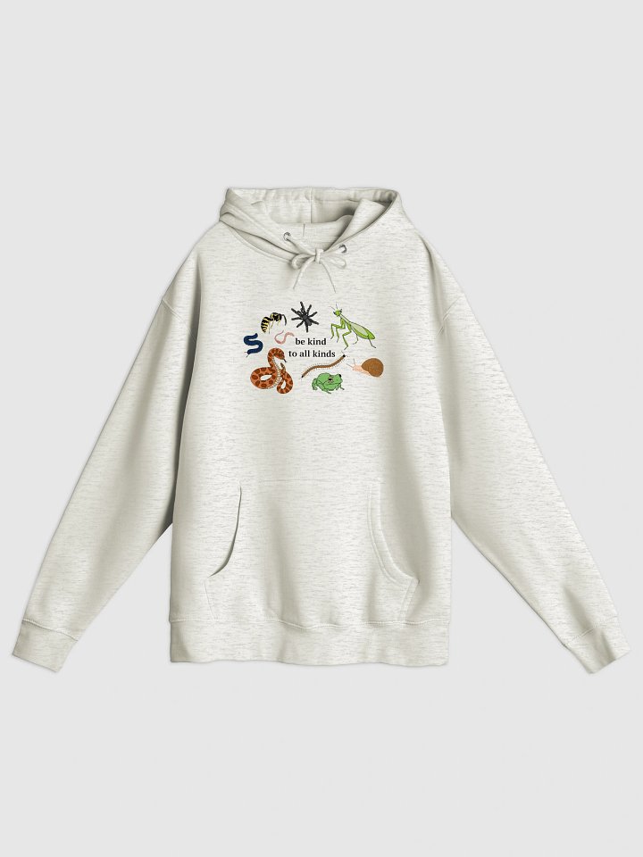be kind unisex hoodie product image (1)