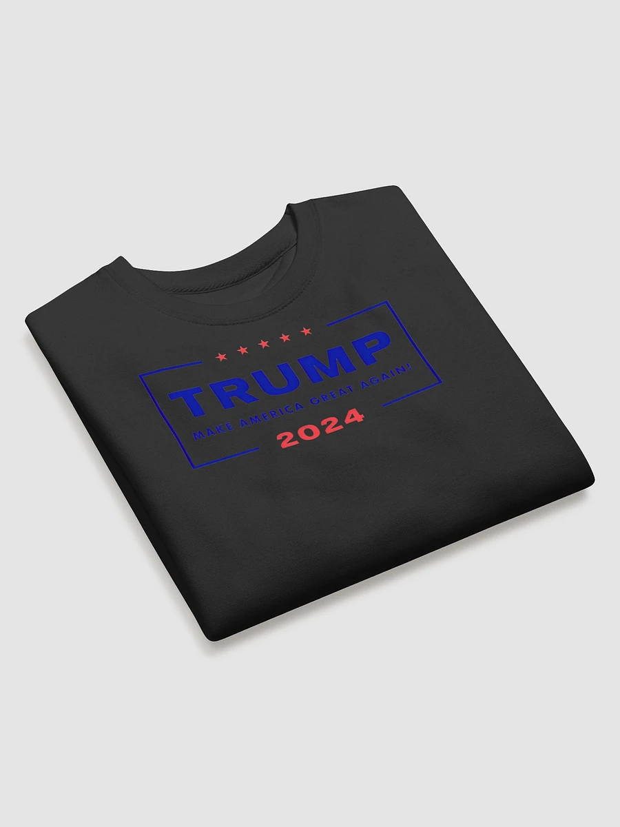 2024 American Campaign Sweatshirt product image (3)