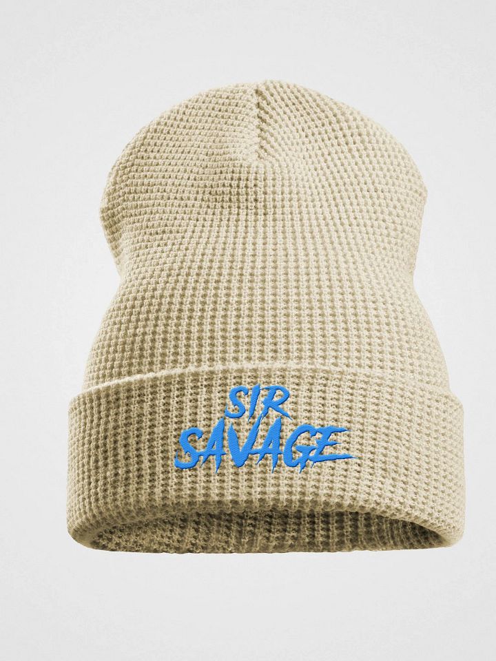 WAFFLE BEANIE MULTI COLOR product image (1)