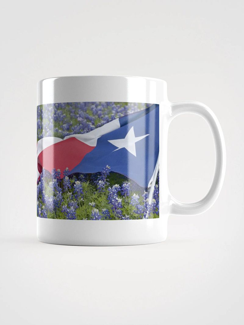 Texas Flag over Bluebonnets
