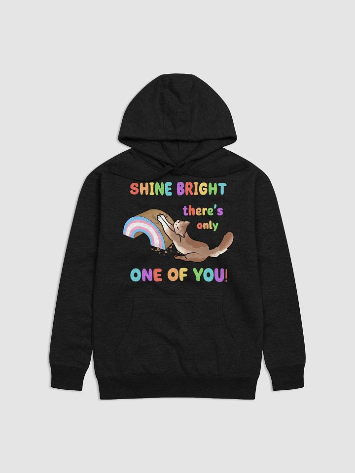Shine Bright Trans Pride Hoodie product image (14)