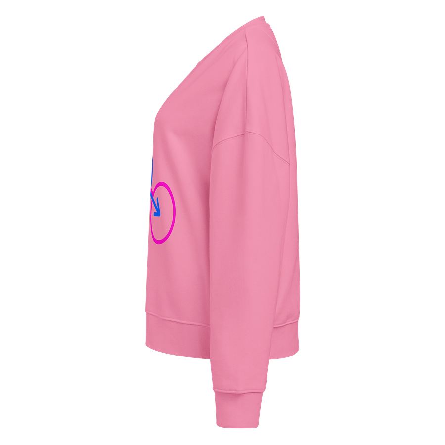 Boy & Girl Gender Norm Organic Sweatshirt product image (3)