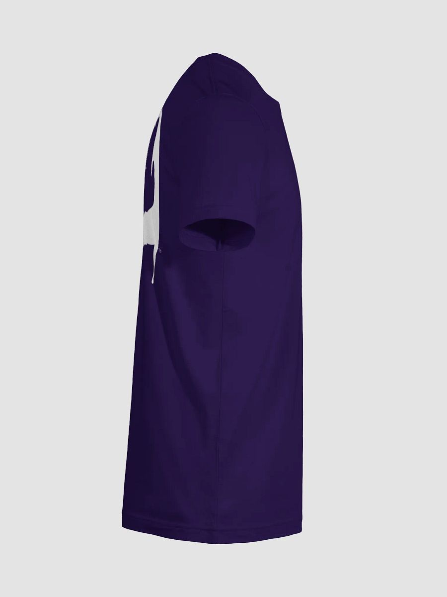 Men's | BOURNE to Cape Cod™ | Supersoft T-Shirt by Bella+Canvas | White Logo on Jewel Tone Colors product image (106)