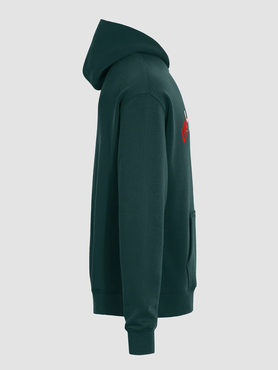 Over-Sized Unhinged Hoodie product image (7)