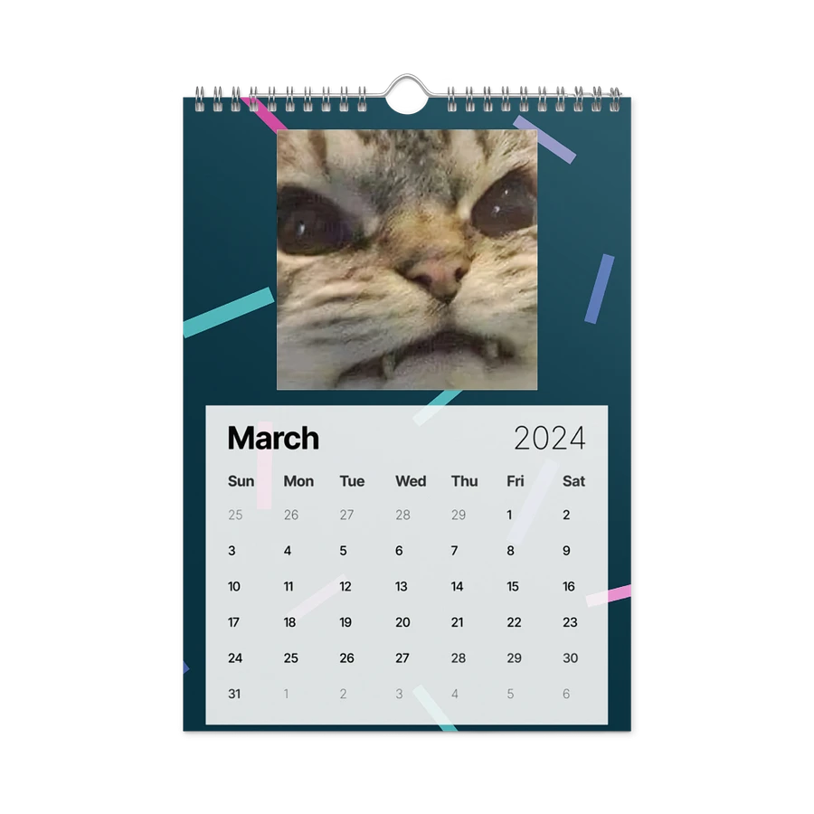 Wall Calendar (2024): Meme Cats product image (13)