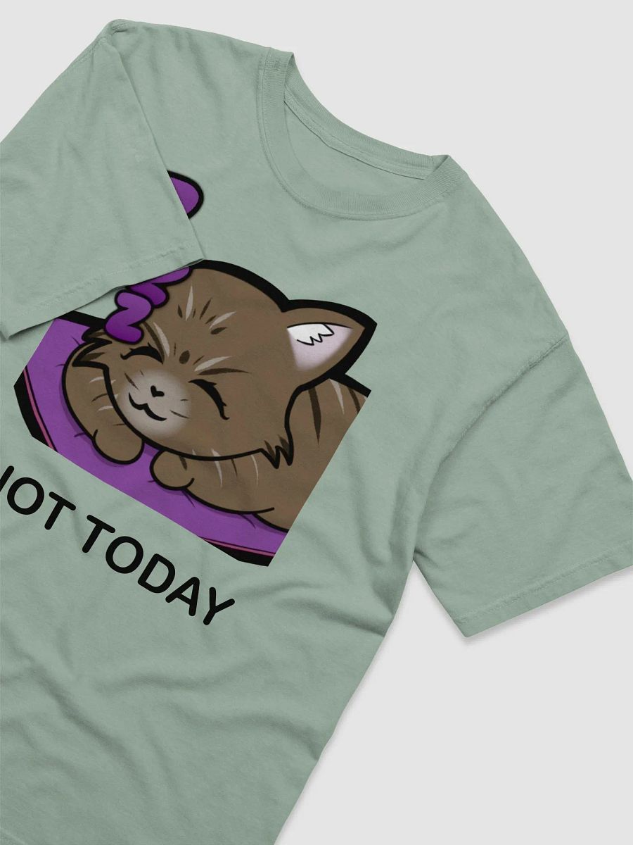 Not Today Shirt product image (31)