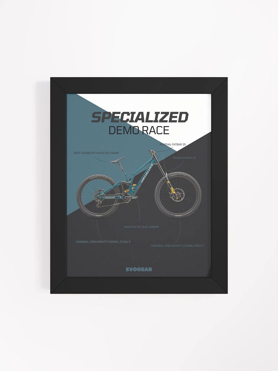 Specialized Demo Race Frame product image (17)