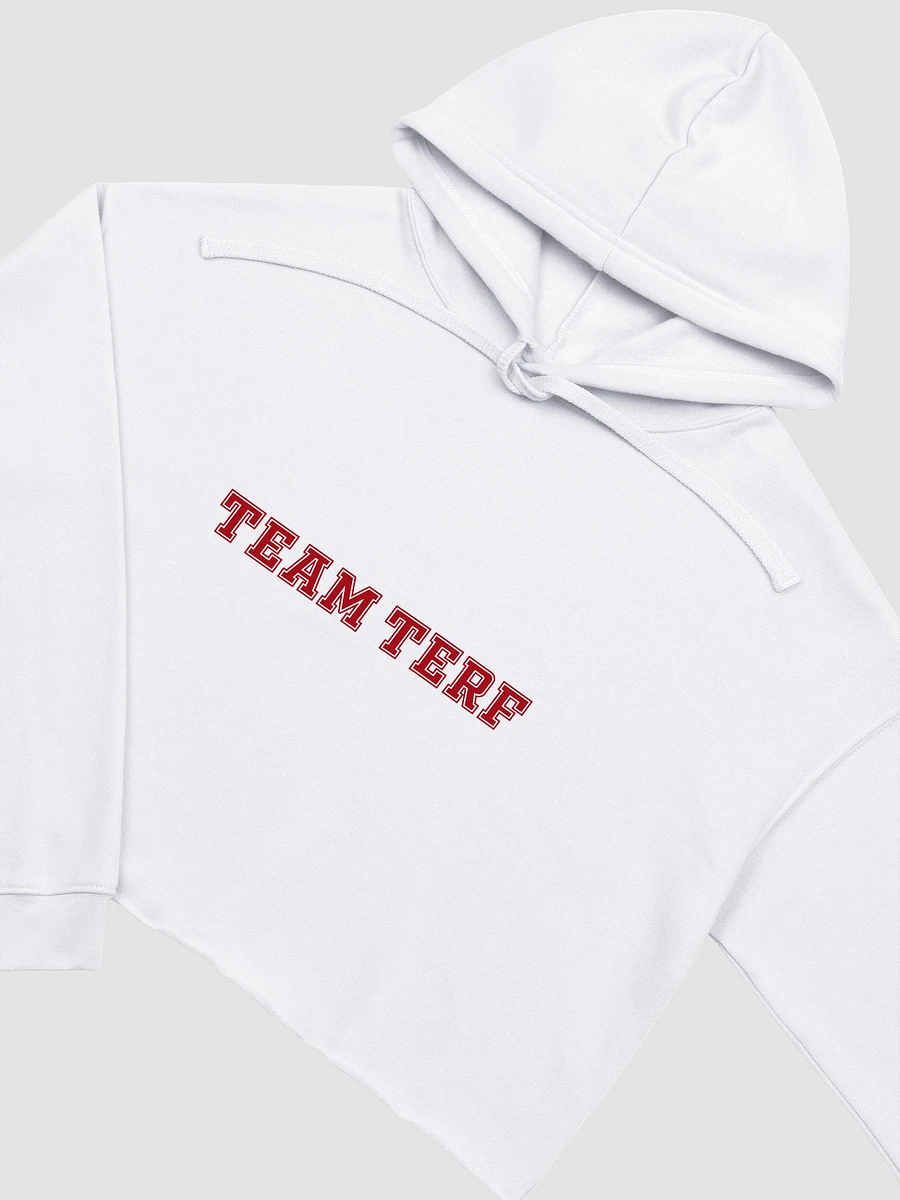 TEAM TERF CROP HOODIE product image (3)