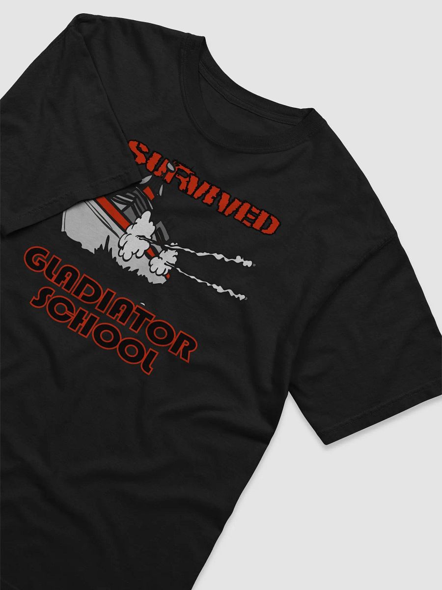 GLADIATOR SCHOOL! product image (3)