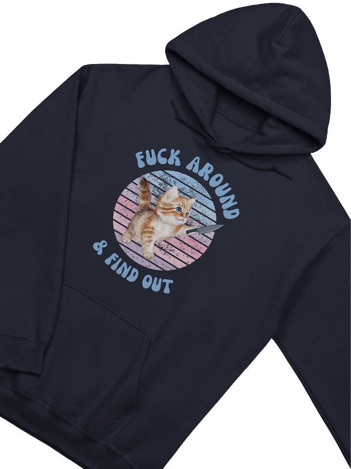 Fuck Around And Find Out Hoodie product image (2)