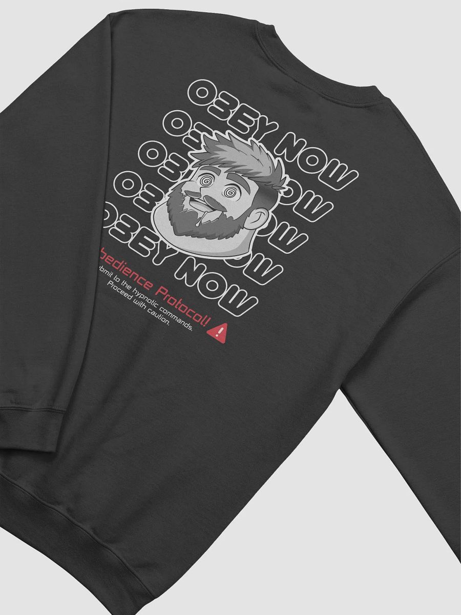 Obedience Protocol Sweatshirt product image (39)